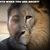 Diamond D. Mencos's profile image