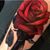 Cristina Ramirez's profile image