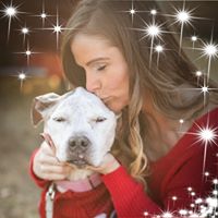 Lindsay DiFronzo's profile image