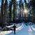 Geri Imler's profile image