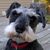 Pamela Mackey Cook's profile image