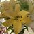 Wira Winburn's profile image