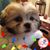 Dale Smith's profile image