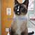 Standish Cherry C Gina's profile image
