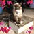 Darryl Kamemoto's profile image