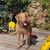 Laura Eaglesham Hollyer's profile image