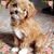 Leigh Ann Richard's profile image