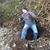 Dallas Burnworth's profile image
