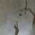 Amy Goodwin Mercer's profile image