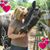 Dayna Kearns's profile image