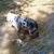 Maria Garcia-Eggly's profile image