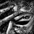 Robert Bruce Hyder's profile image