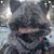 Anastasia Loos's profile image