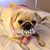 Becky Evangelho's profile image