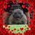 Tabbitha Heckman's profile image