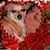 Joanne Romarino Simons's profile image