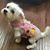 Barbara Barnes's profile image