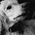 Brett Felber's profile image