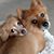 Dona Luttrell's profile image