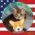 Kerry Evans's profile image