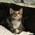 Roxanne Mundy Hill's profile image
