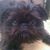 Janelle Malloy Tate's profile image