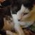 Kari Abbott's profile image