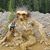 Christine Wentzel's profile image