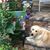 Melissa Mullett's profile image