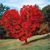 Jennifer Hamer Kearsey's profile image