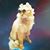 Victoria Johnston's profile image