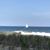Deb Reed Bricker's profile image