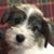 Yvonne Carter's profile image