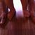 Luis Plaza's profile image