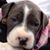 Tony Kougl's profile image