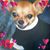 Donna Watts McInnis's profile image
