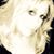 Melody Bartee's profile image