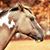 Michele Carter Dunn's profile image