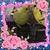 Liliana Garcia's profile image