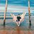 Chinh Pham's profile image