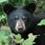 Caryn Jaeschke's profile image
