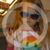 Pattie Giles Seiber's profile image