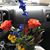 Glenda Michael's profile image