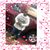 Stephanie Hughes Williams's profile image