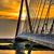 Steve Lawrence's profile image