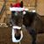 Vikki Wetzel's profile image