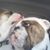 Julie Roesler Vandewater's profile image