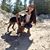 Brenda C. Wong's profile image