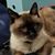 Maureen Brady's profile image