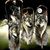 Carol Thayer's profile image
